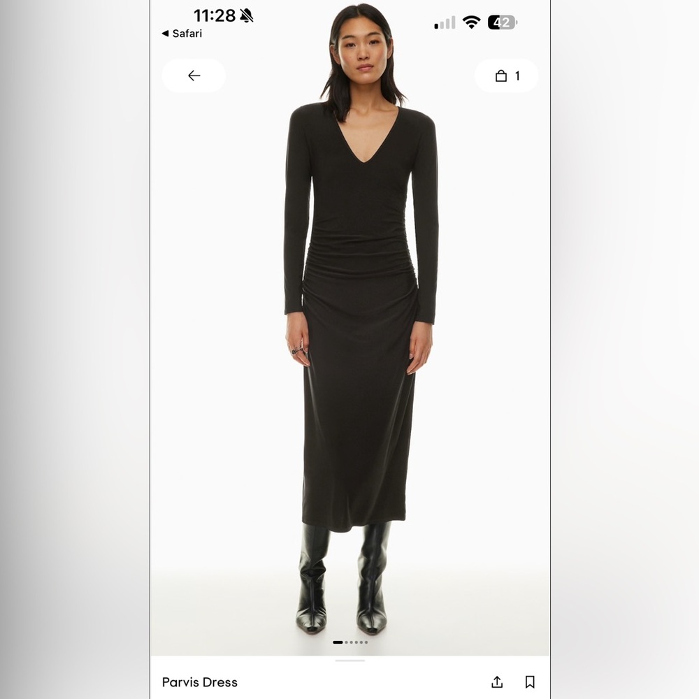 Aritzia Wilfred Parvis dress